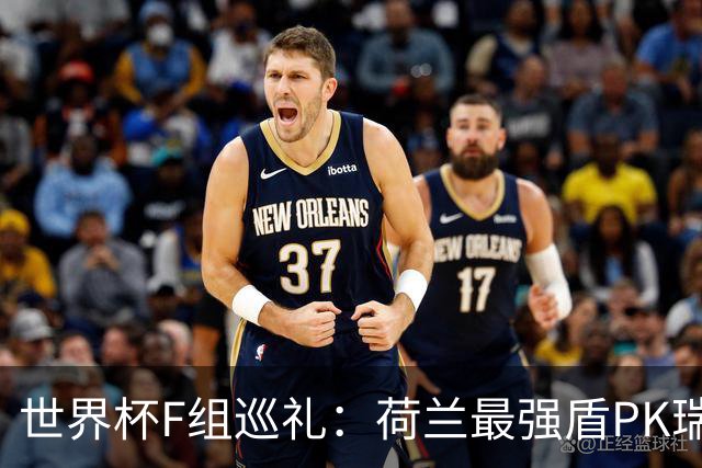 世界杯F组巡礼：荷兰最强盾PK瑞典犀利刀 日本短板明显